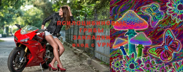 тгк Осташков