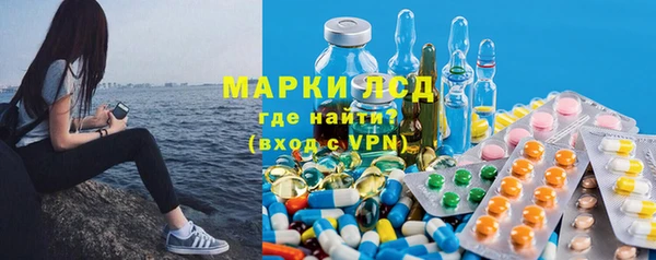 спайс Няндома