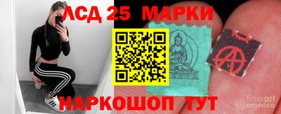 СК Новокубанск