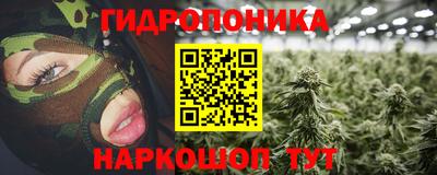 индика Аргун