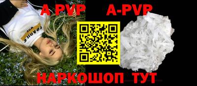 СК Новокубанск