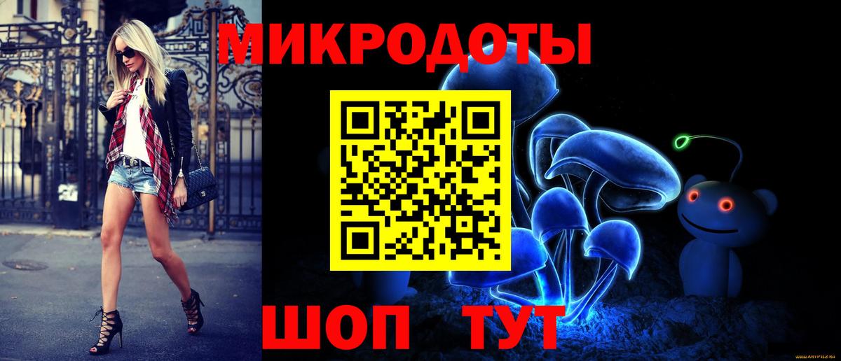 Галлюциногенные грибы Psilocybine cubensis  Биробиджан 